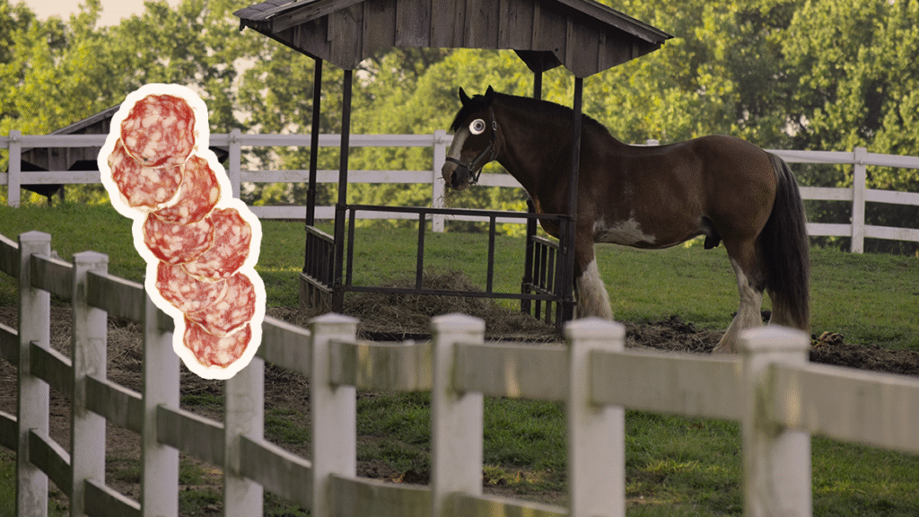 Montage d’un âne dans un pré et de tranches de saucisson