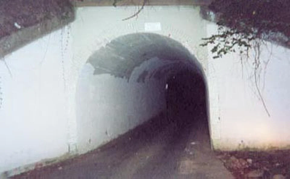 Photographie nocturne du passage routier sous le pont ferroviaire surnommé Bunny Man Bridge.