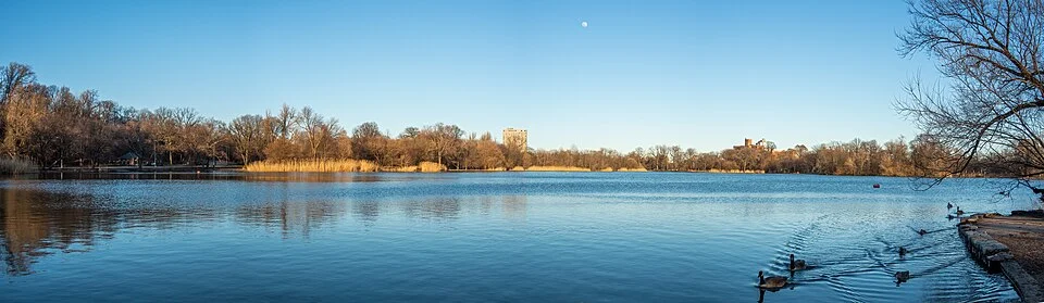 Vue du lac de Prospect Park bordé d’arbres, à Brooklyn.