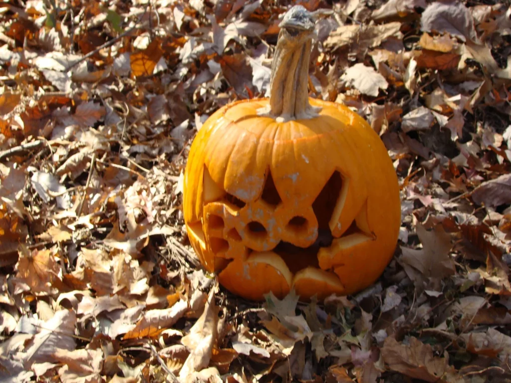 Jack-o’-lantern : la lumière finit dans une citrouille